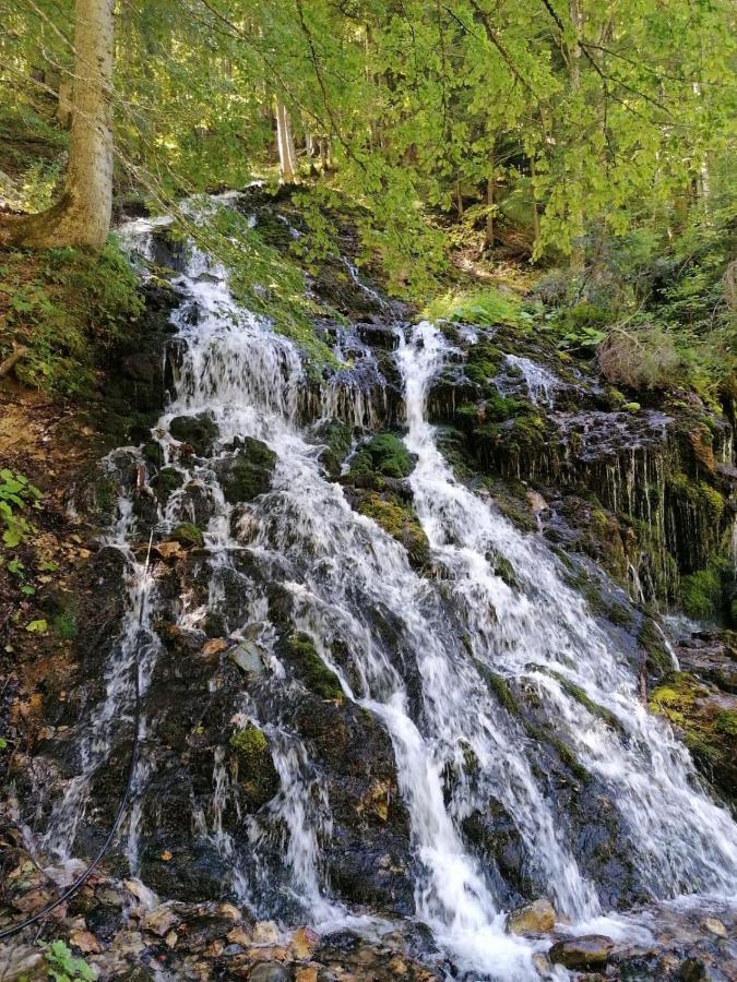 Resort Hanni Deisenberger Fieberbrunn Kültér fotó